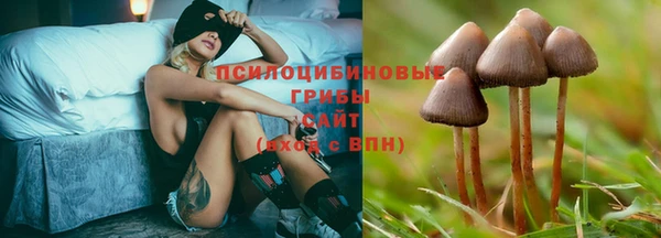 молекула духа Верхний Тагил