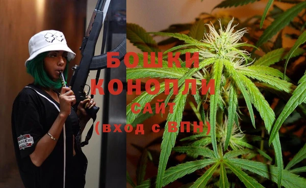 молекула духа Верхний Тагил