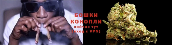соль курить ск Бородино