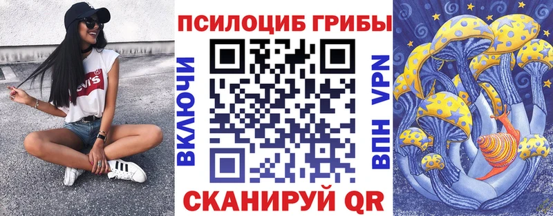 Галлюциногенные грибы MAGIC MUSHROOMS  блэк спрут вход  Чёрмоз 